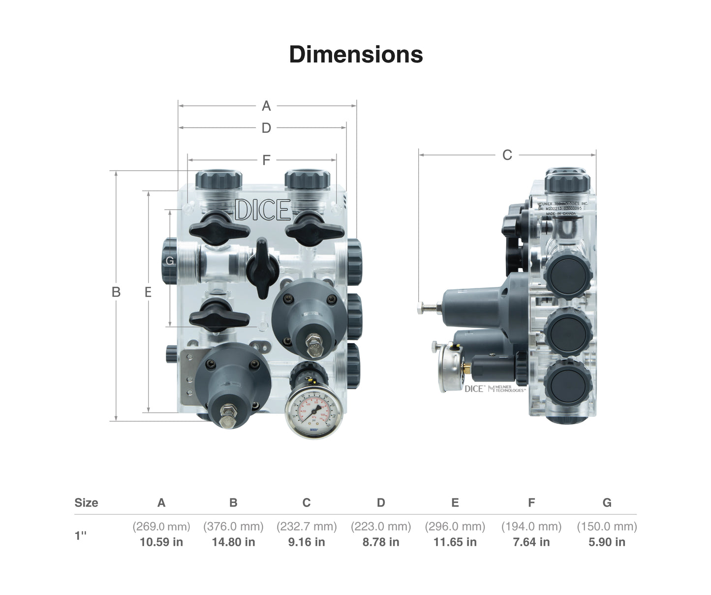 DICE™ Module DM 1"